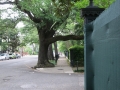 Garden District