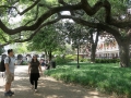 Jackson Square