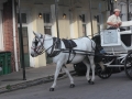 French Quarter