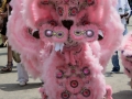 Mardi Gras Indians