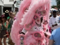 Mardi Gras Indians